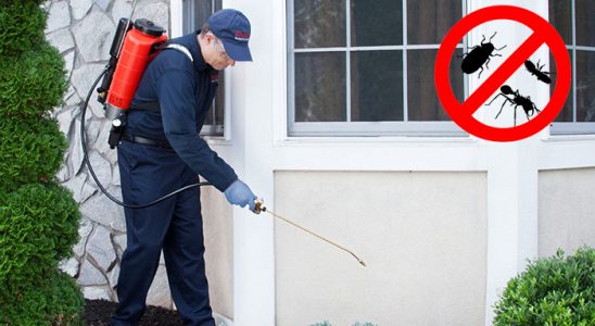 Adaklı Uçan Haşere İlaçlama böcek ilaçlama ve haşere kontrolü — ilaclama-tr.com